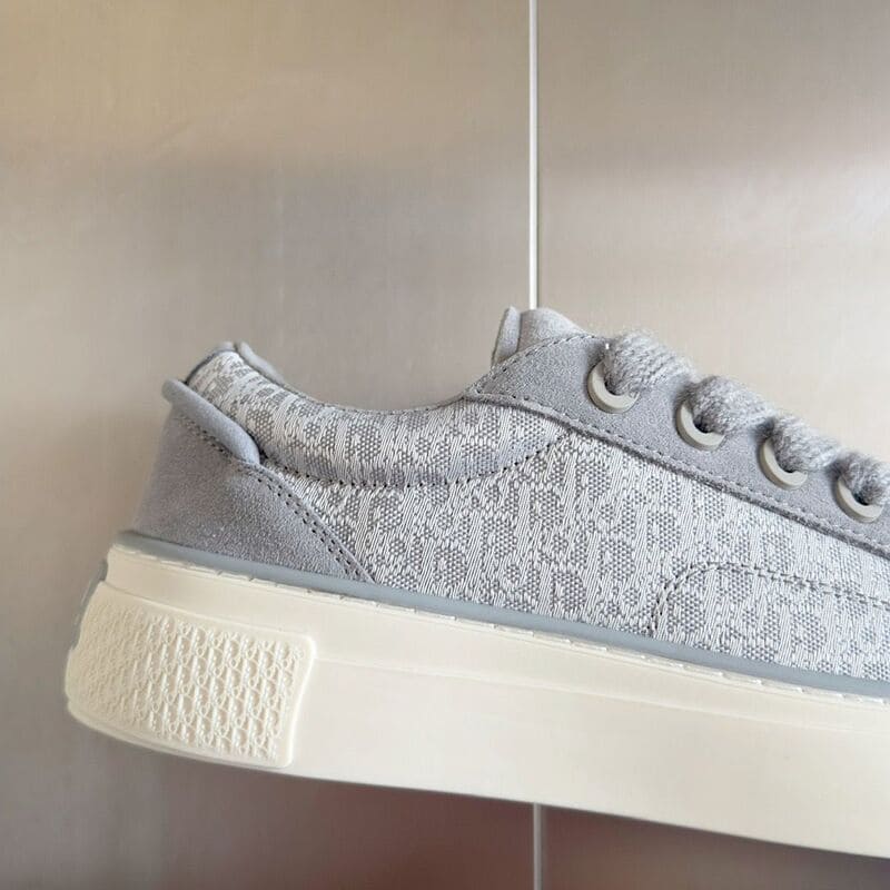 Dior B33 Gray White