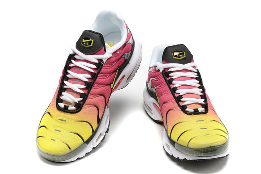 Air Max TN Plus Raibow